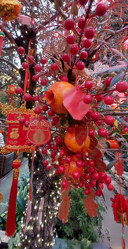 новогодние украшения в Китае - ИРЭН@ .