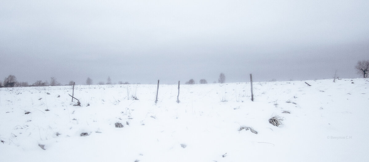 Просторы - Sergei Vikulov Просторы - Sergei Vikulov