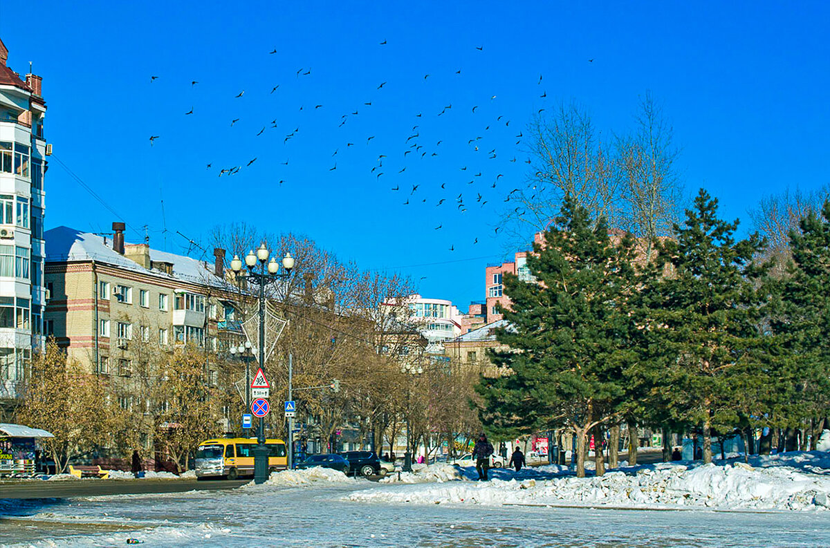 Зимний Хабаровск - Людмила Фил Зимний Хабаровск - Людмила Фил