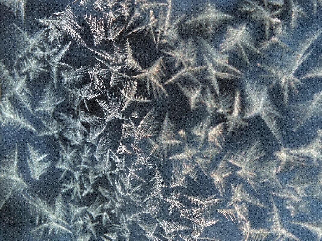 ** - Зоя Мишина ** - Зоя Мишина