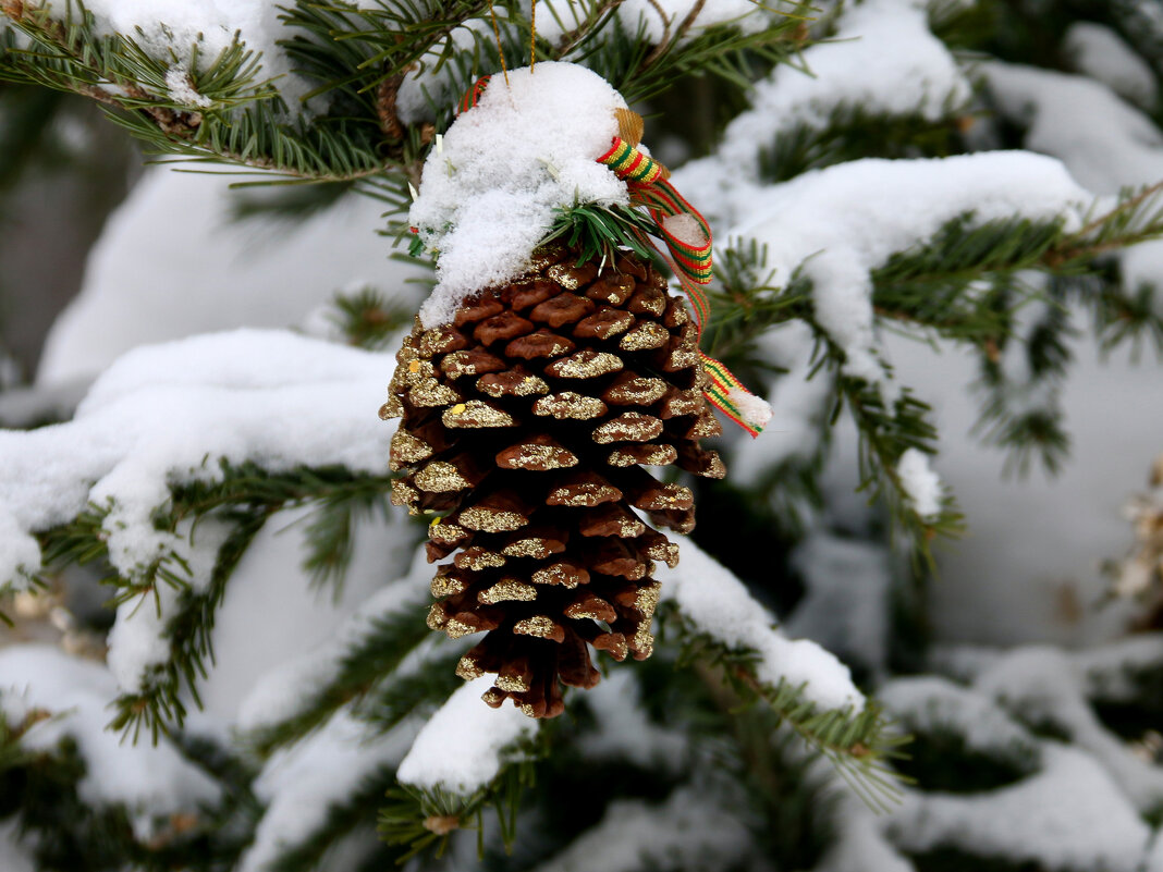 ** - Vlad Сергиевич