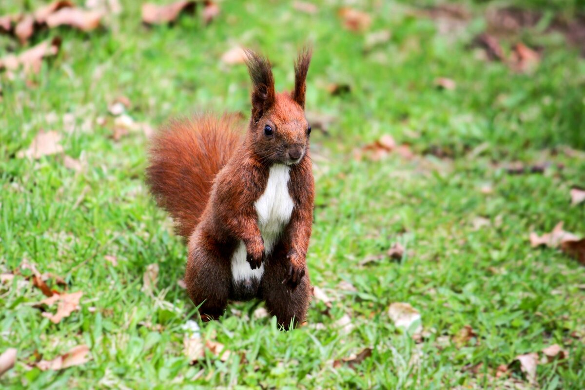 Модель - Юрий. Шмаков