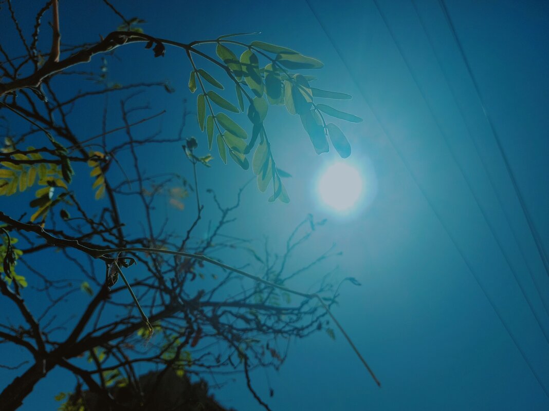 109 (46) - СТРЕН 