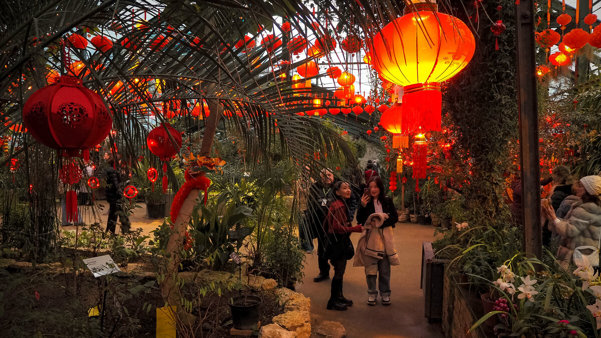 Зарисовка из Аптекарьского Огорода - юрий поляков Зарисовка из Аптекарьского Огорода - юрий поляков