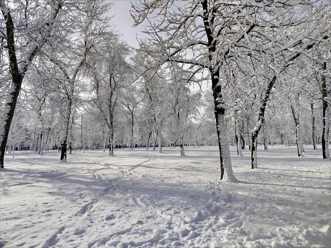 Долгожданная зима! - Надежда 