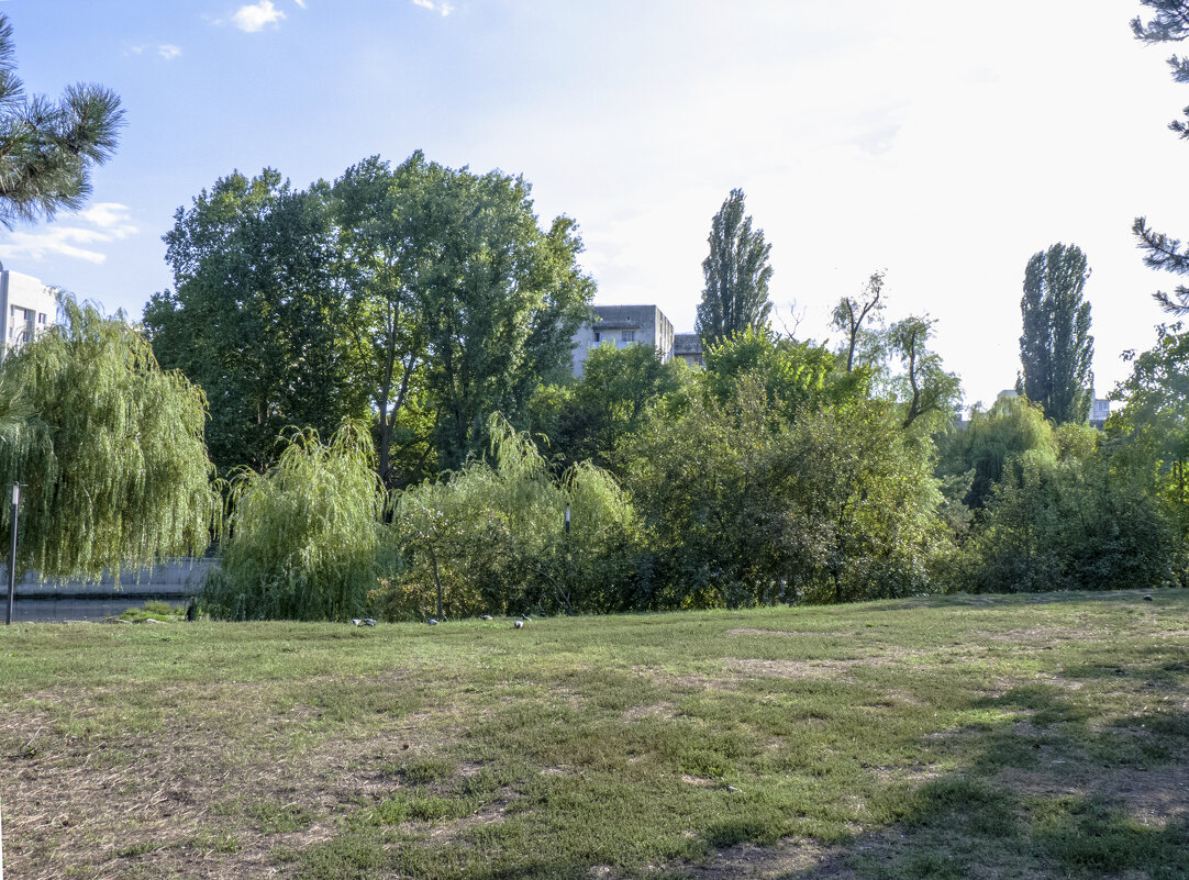 Пейзажи Гагаринского парка - Валентин Семчишин Пейзажи Гагаринского парка - Валентин Семчишин