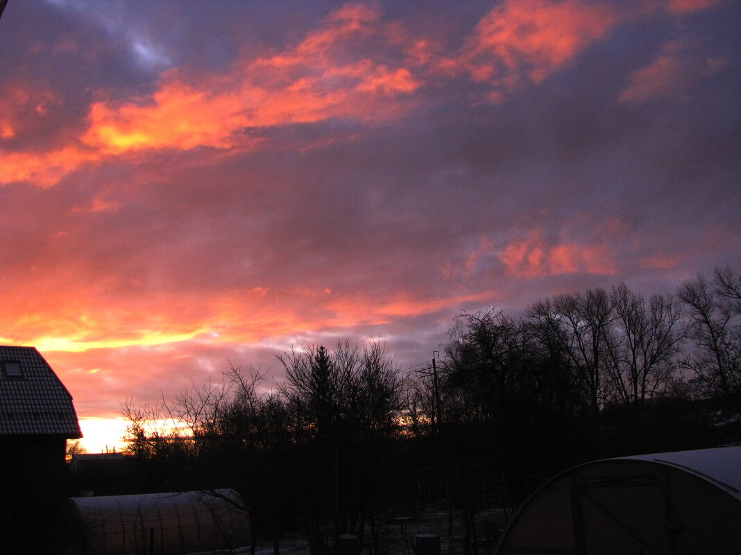 Февральское утро - Людмила Смородинская Февральское утро - Людмила Смородинская