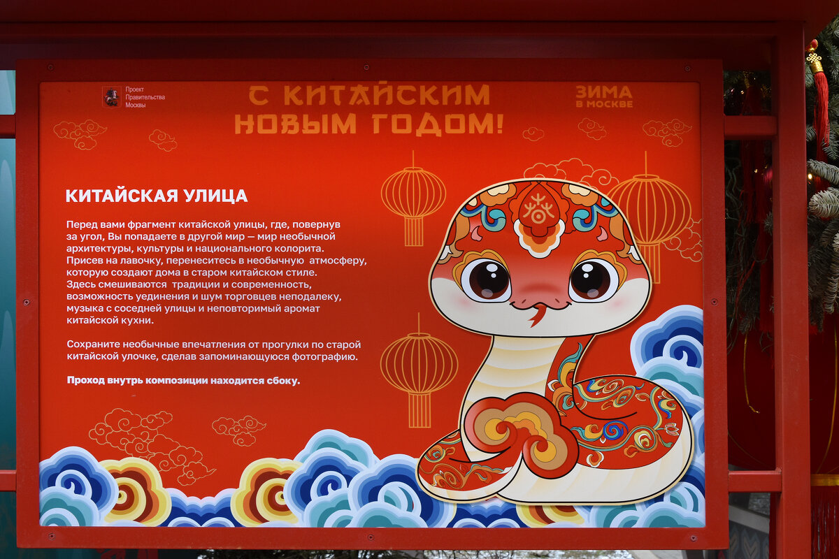 Китайский Новый год в Москве. - Наташа ***** Китайский Новый год в Москве. - Наташа *****