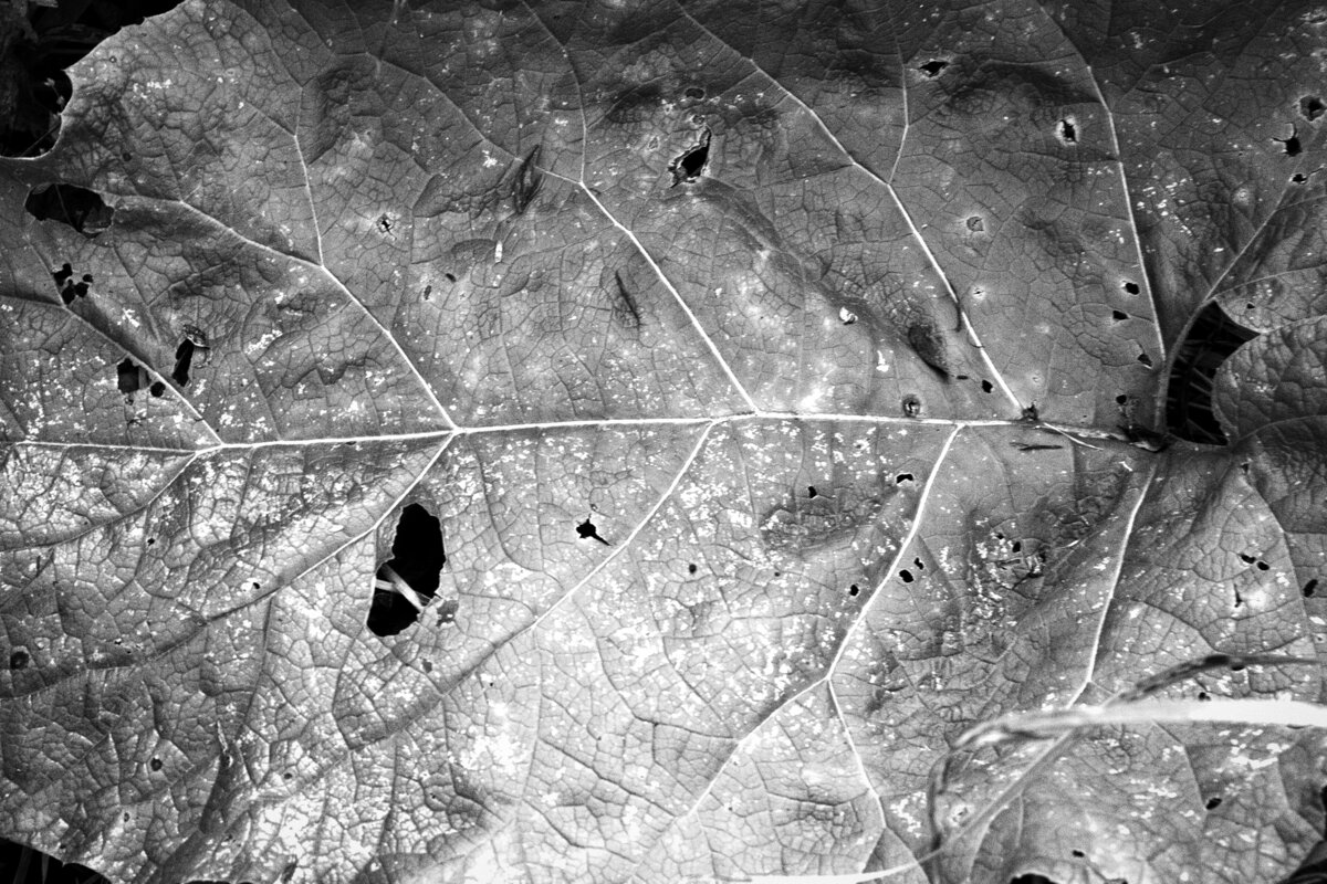 Название отсутствует - Денис Безногов