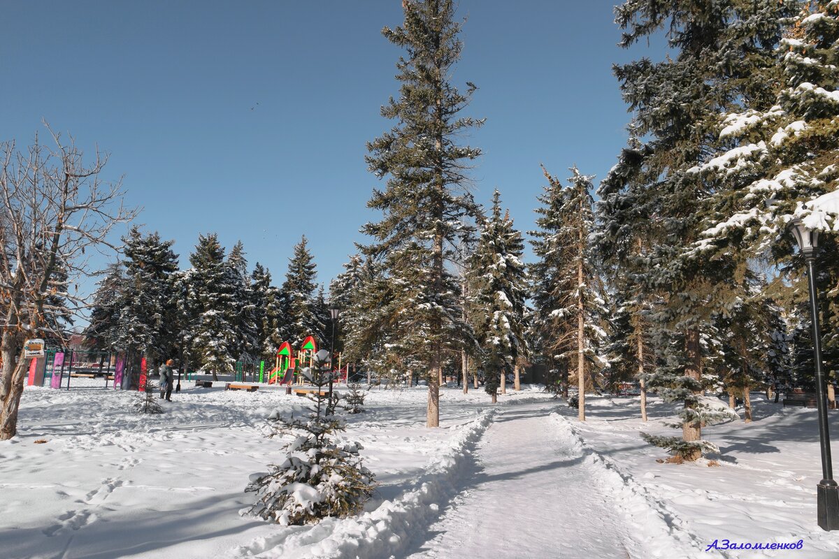 На прогулках в зимнем парке... - Андрей Заломленков