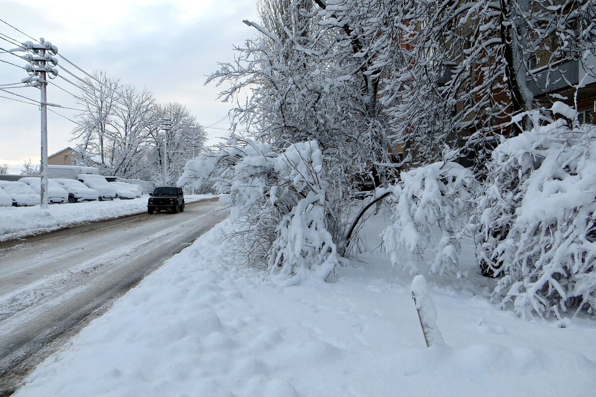 Зимняя дорога - Татьяна Смоляниченко Зимняя дорога - Татьяна Смоляниченко