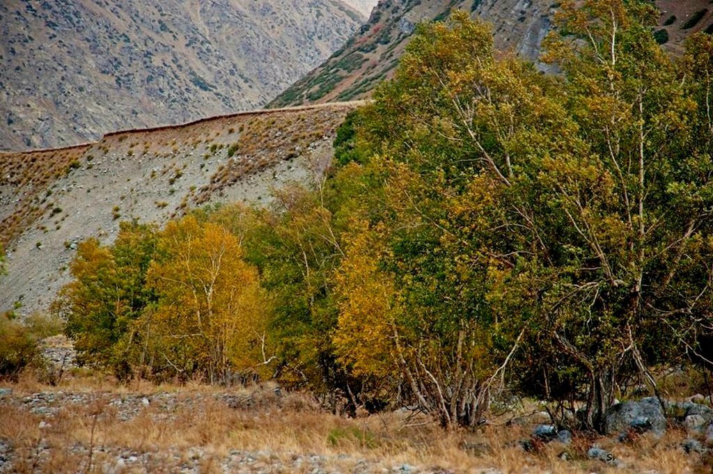 ПО НИЗАМ, h~2700м - Виктор Осипчук ПО НИЗАМ, h~2700м - Виктор Осипчук