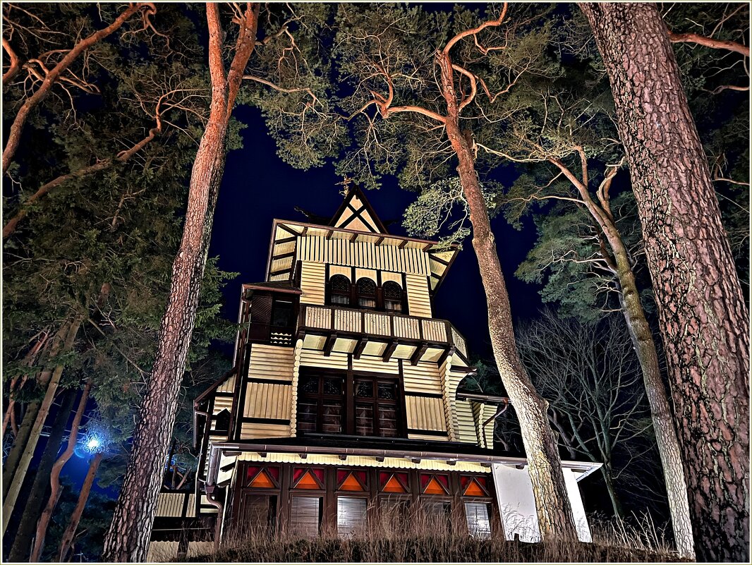 Охотничий домик.(1906г) - Валерия Комова