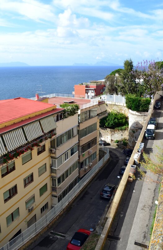 Дорожки Неаполя - Ольга Дорожки Неаполя - Ольга