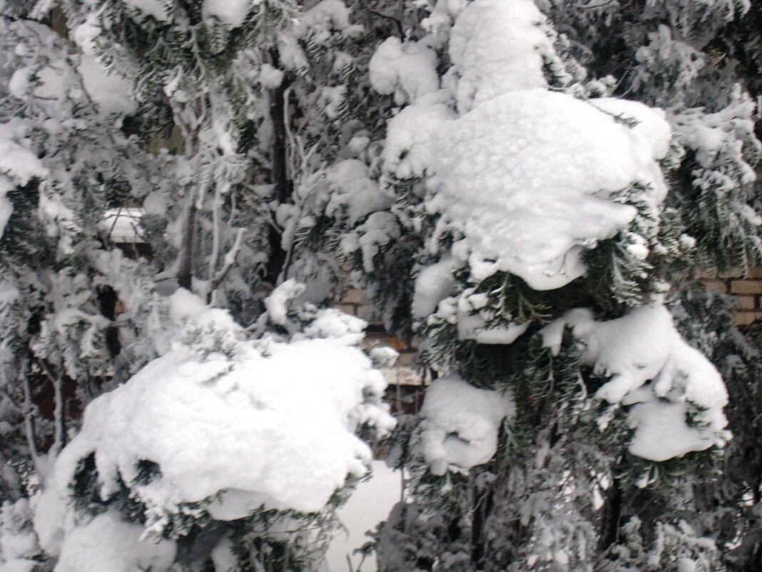 ,,, - Сергей Тимоновский ,,, - Сергей Тимоновский