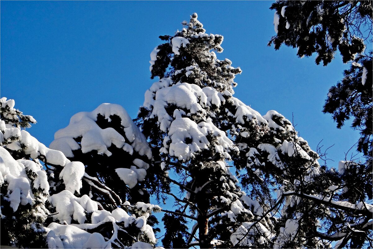 ЗИМА - Юрий Владимирович 34 ЗИМА - Юрий Владимирович 34