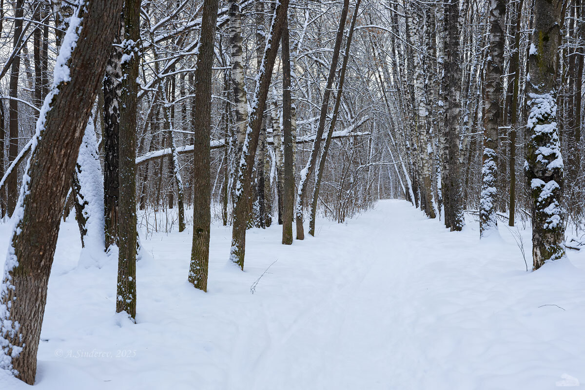 Зимний день - Александр Синдерёв