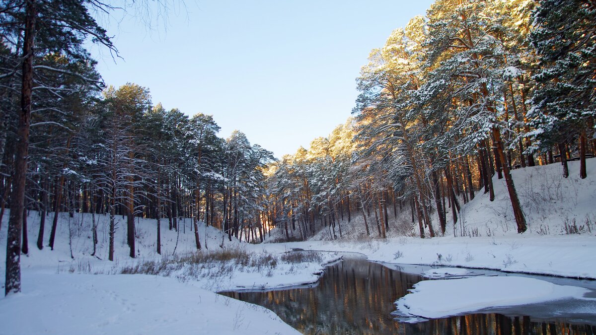 Ручей в лесу - Сергей Швечков Ручей в лесу - Сергей Швечков