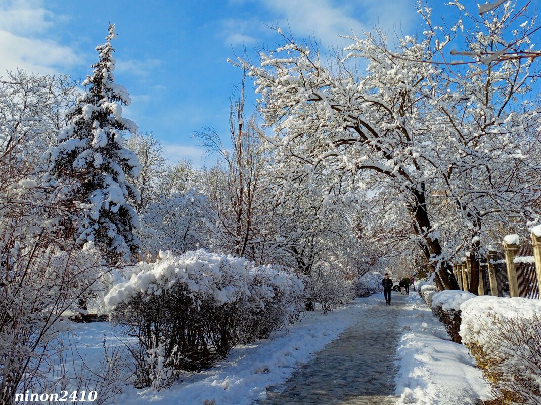 Зима в Ростове-на-Дону - Нина Бутко