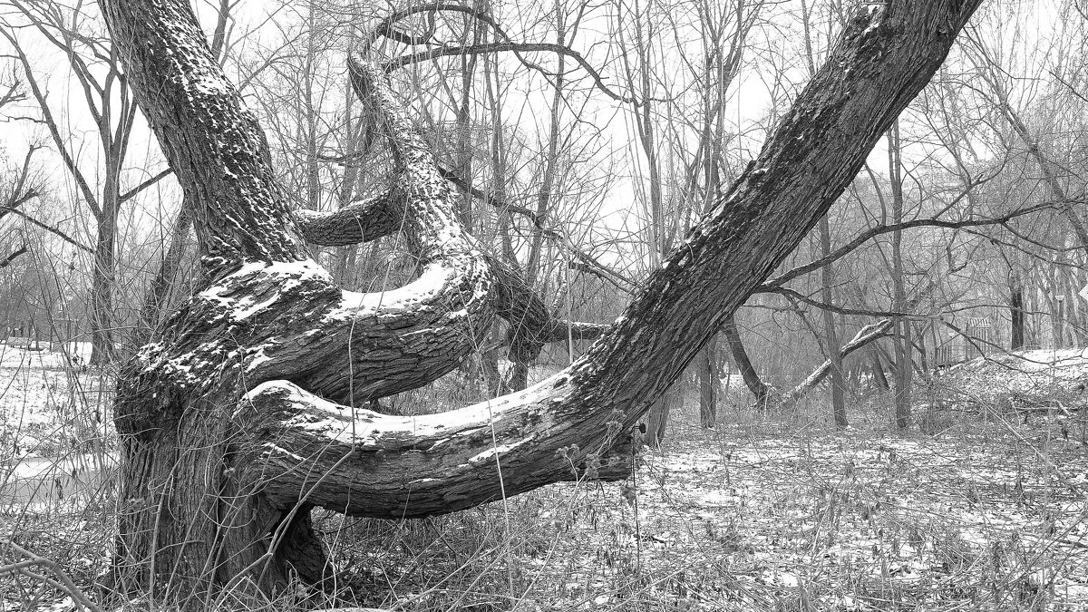 ***** - юрий поляков