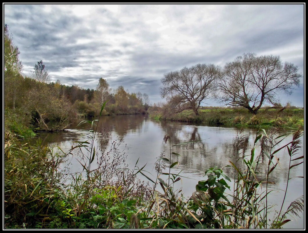 р. Свислочь - Ион Круглик р. Свислочь - Ион Круглик