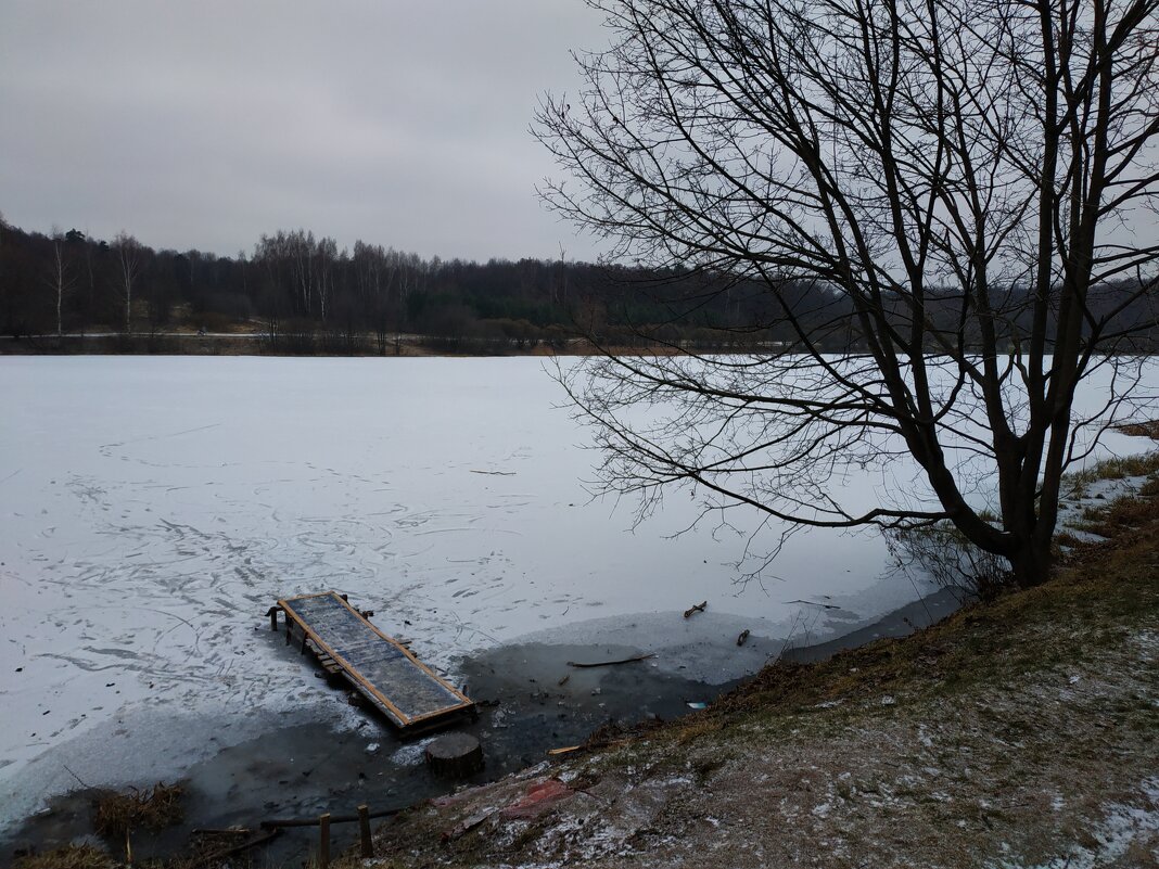 Зимы ждала, ждала природа, ... - Андрей Лукьянов Зимы ждала, ждала природа, ... - Андрей Лукьянов