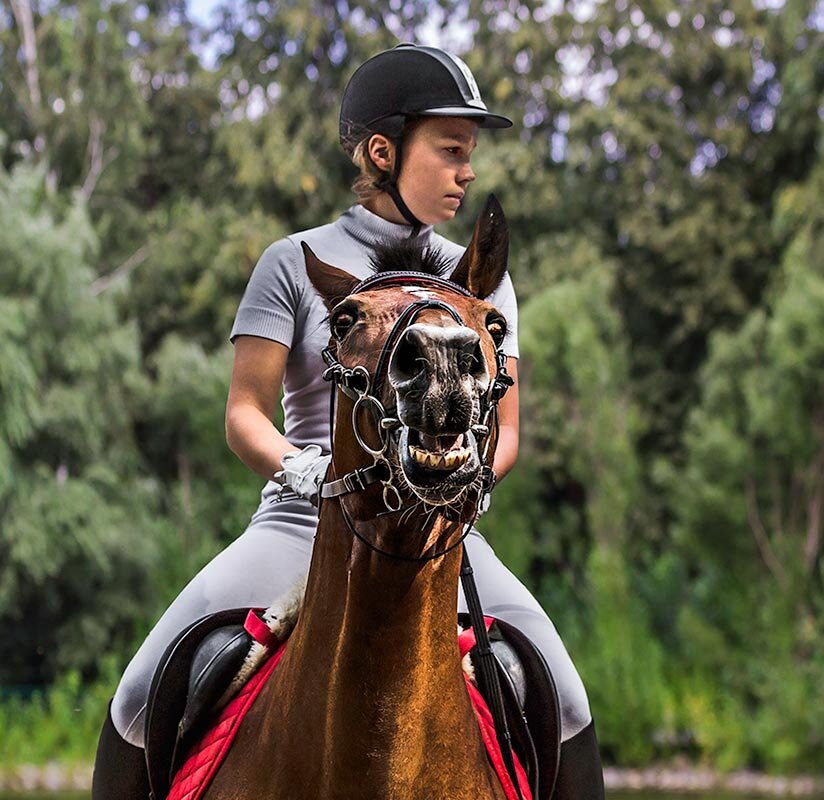 Конкур - SanSan 