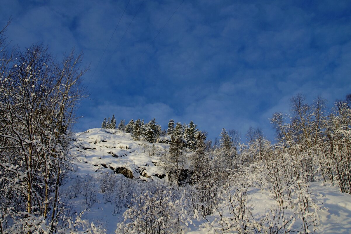 Солнечный зимний день - Сергей Швечков