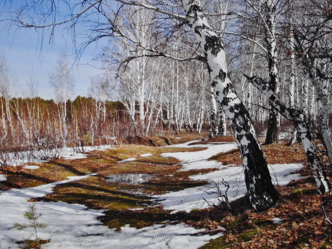 Вот такой февраль - Людмила Смородинская