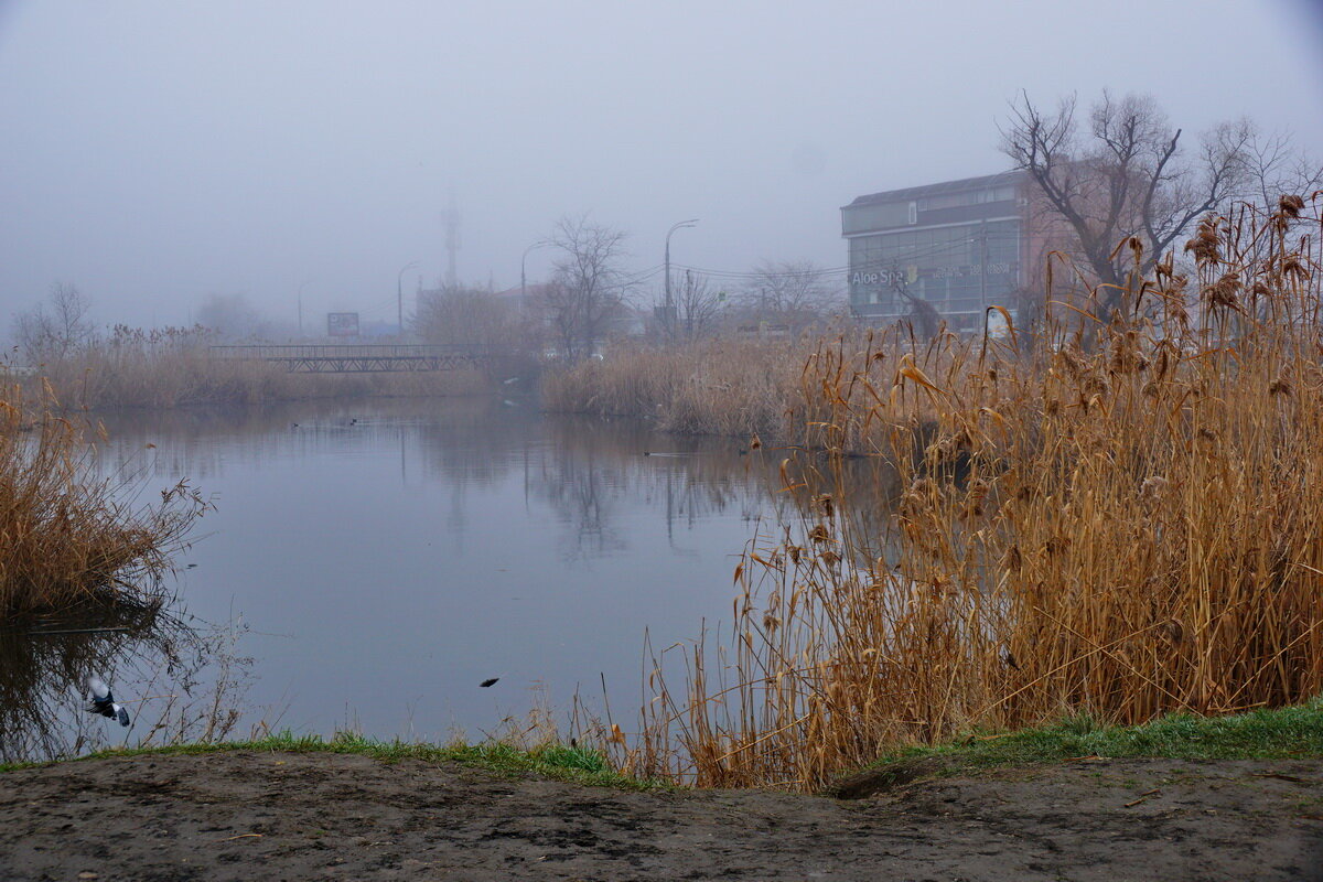Туман над озером... - Николай Саржанов