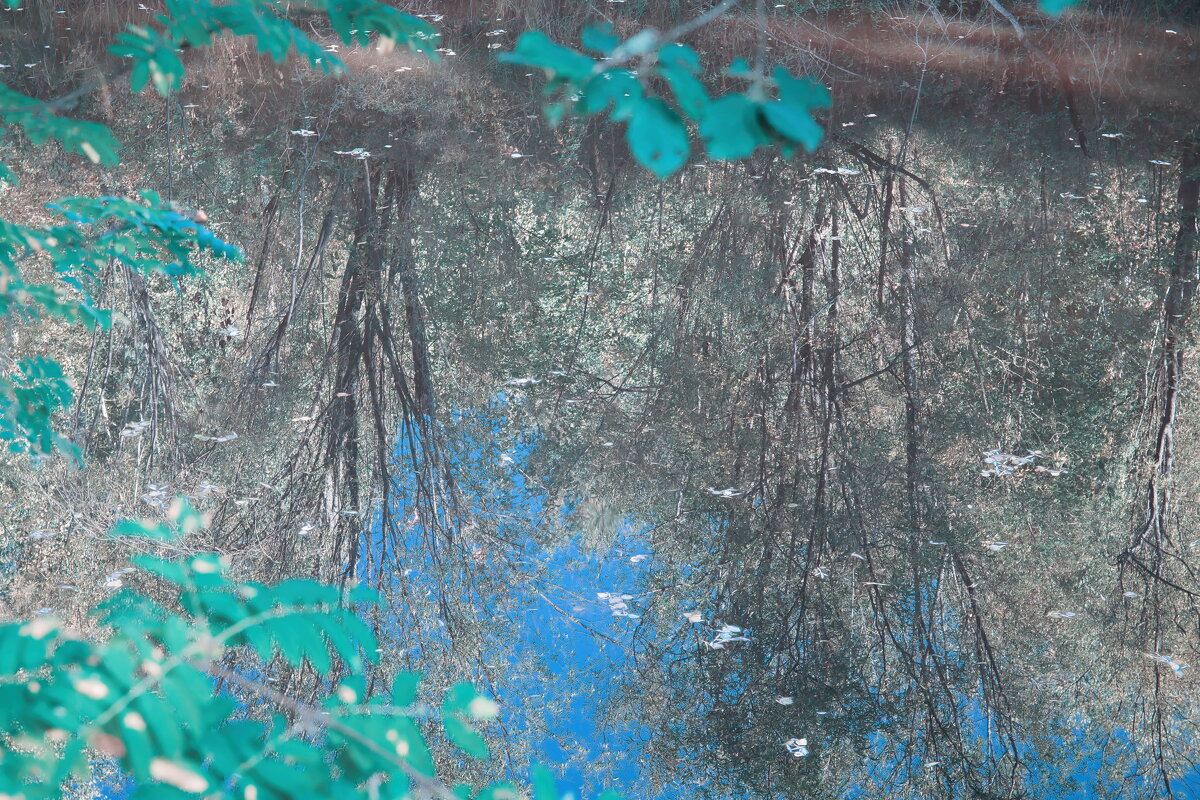 Название отсутствует - Денис Безногов