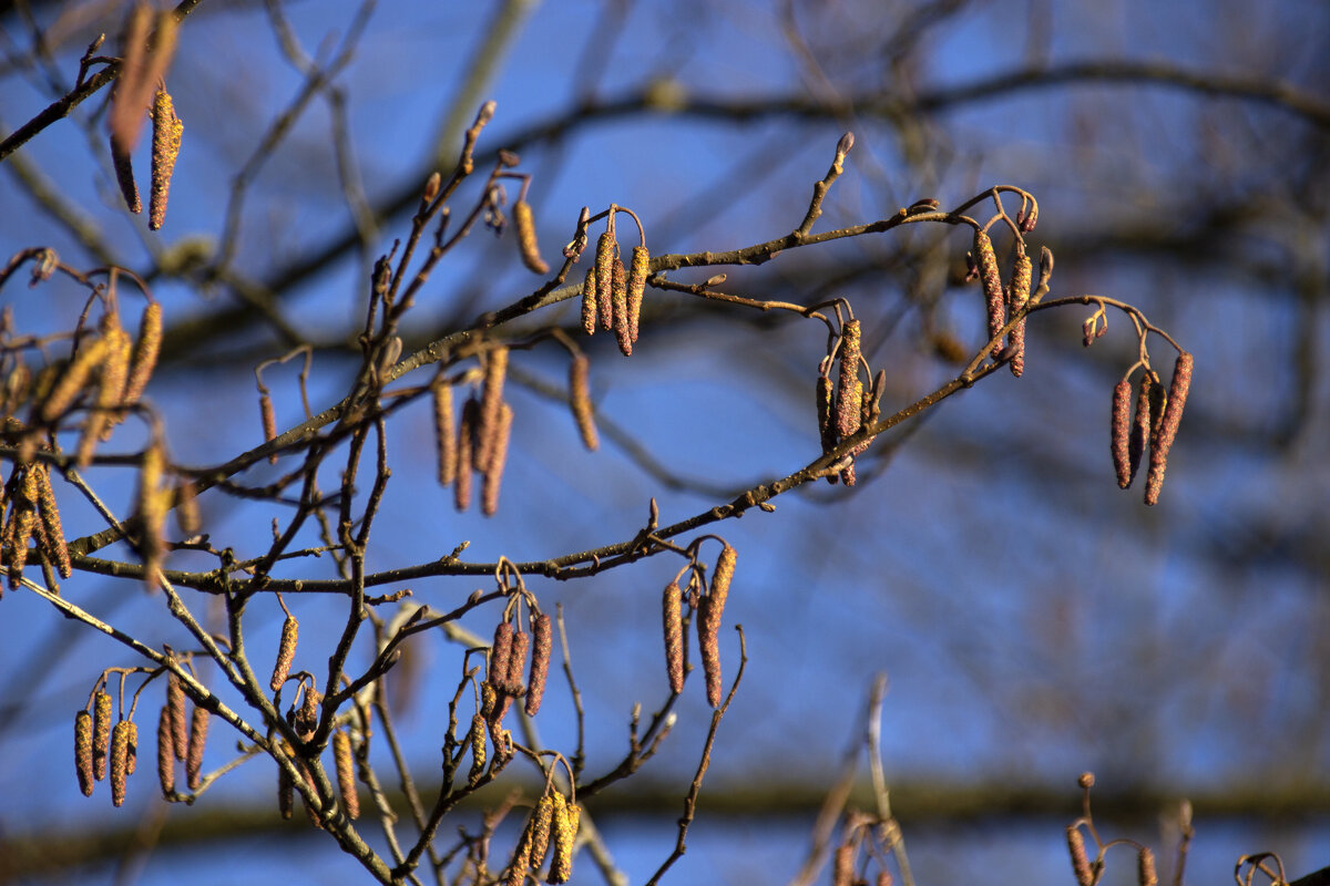 .. - оксана .. - оксана