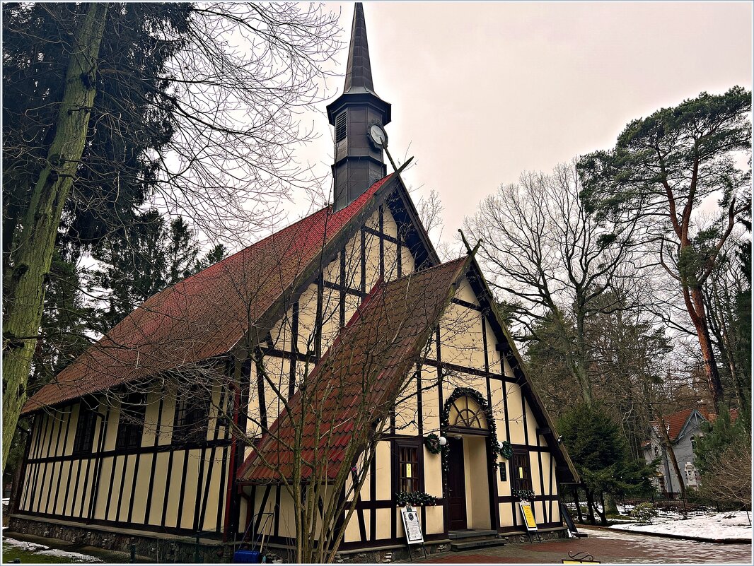 Органный зал. - Валерия Комова