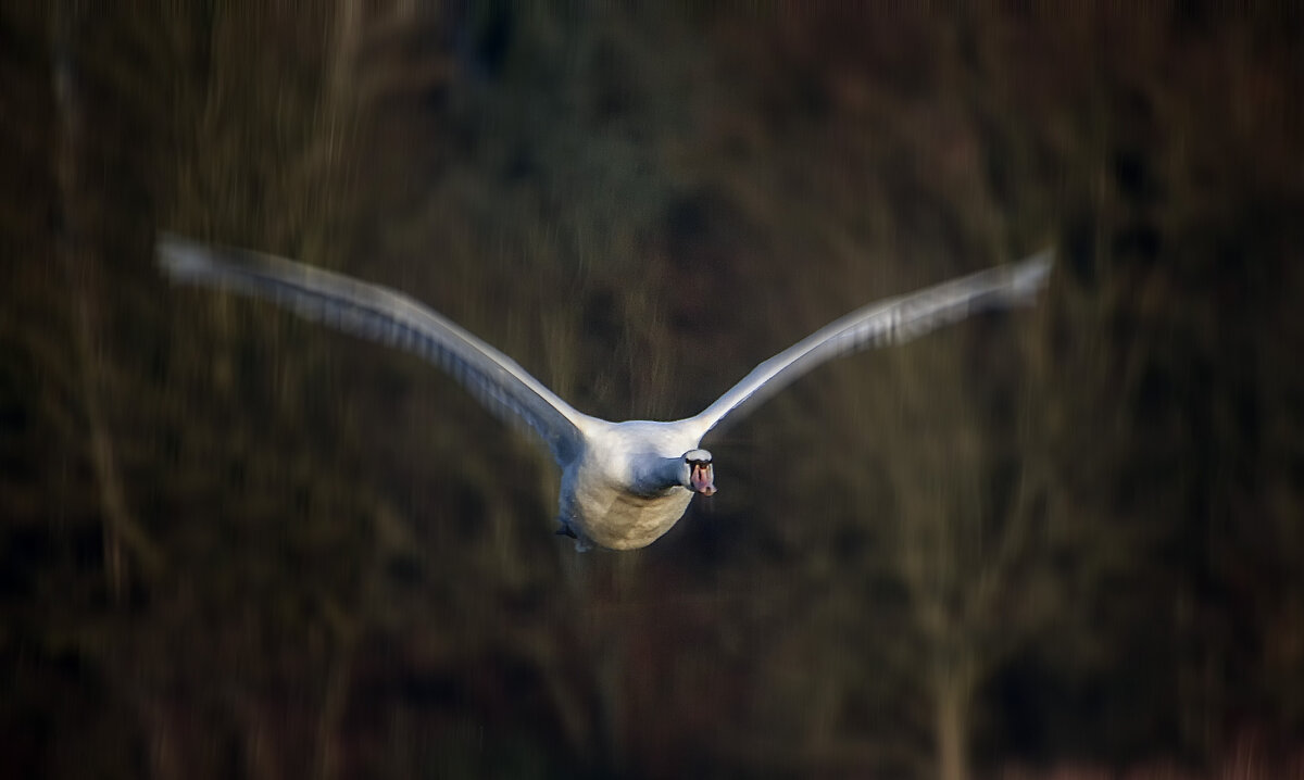 ***** - Андроник Александр 