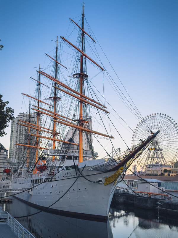 Йокогама - Дмитрий 