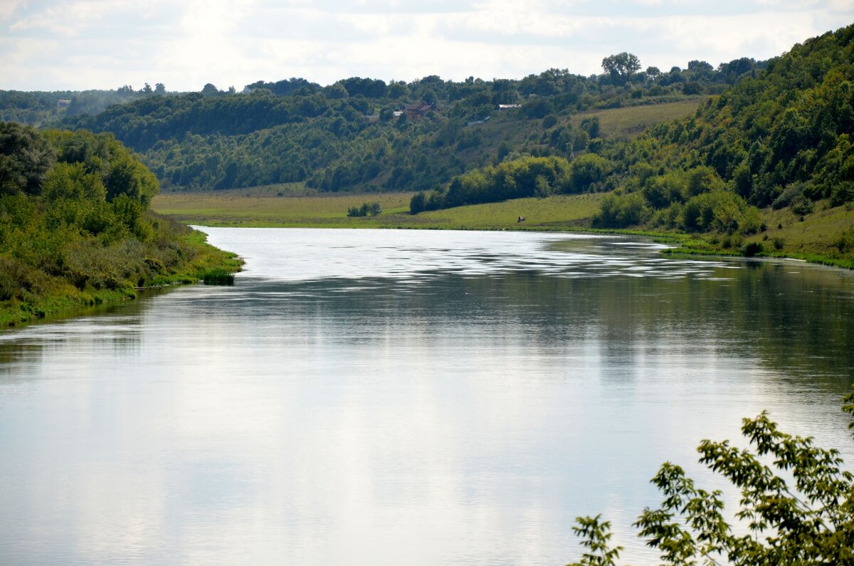 Дон - Андрей Л. В.