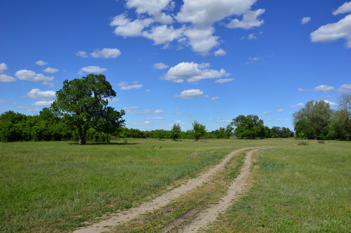 Мои дороги. - Виктор 