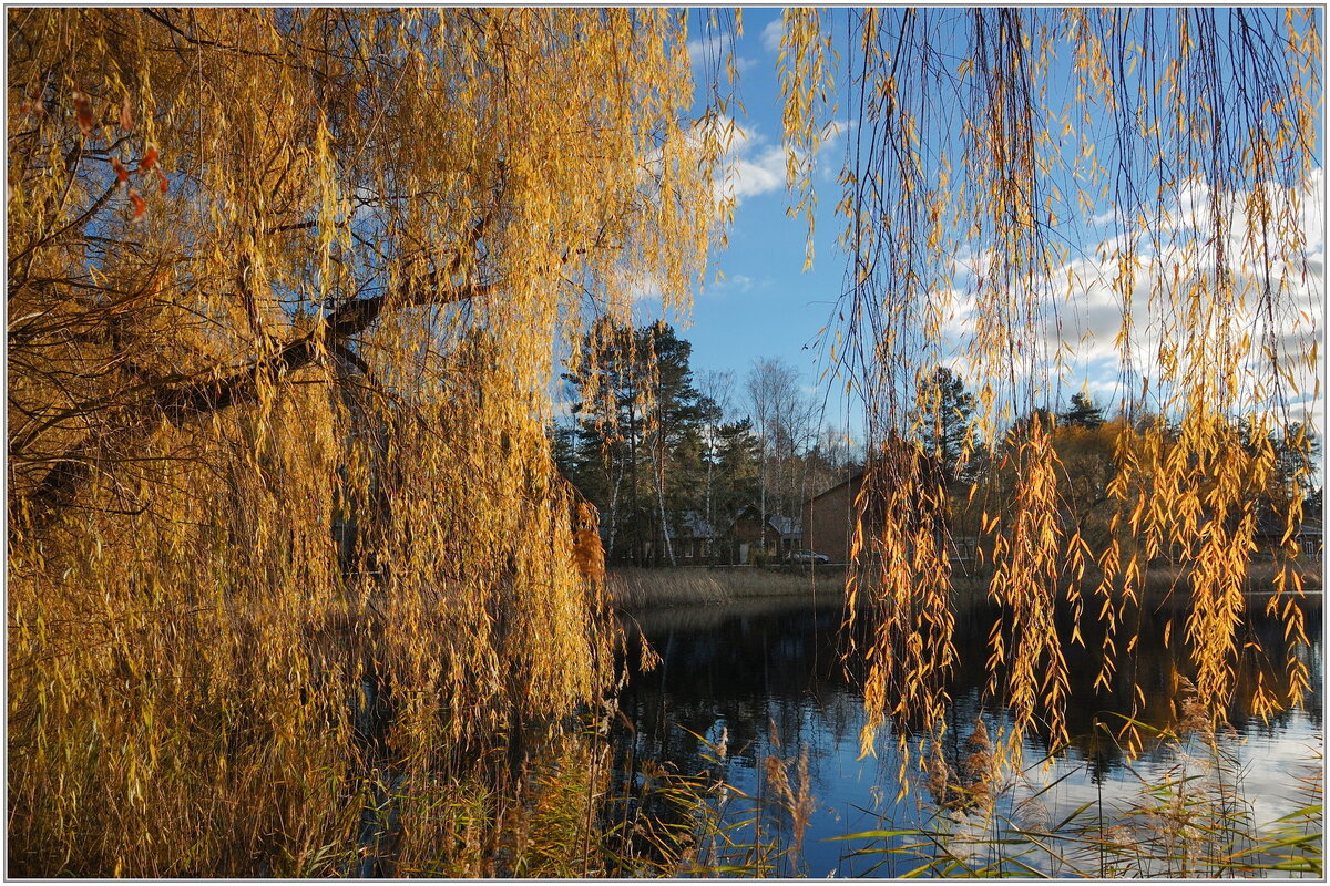 Осеннее - Art __