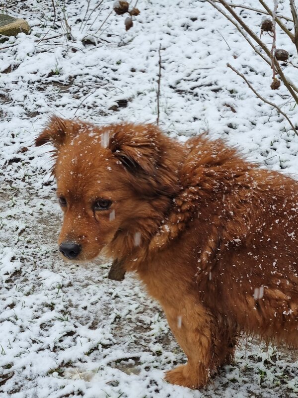 Можно было бы порадоваться... - Наталья Можно было бы порадоваться... - Наталья