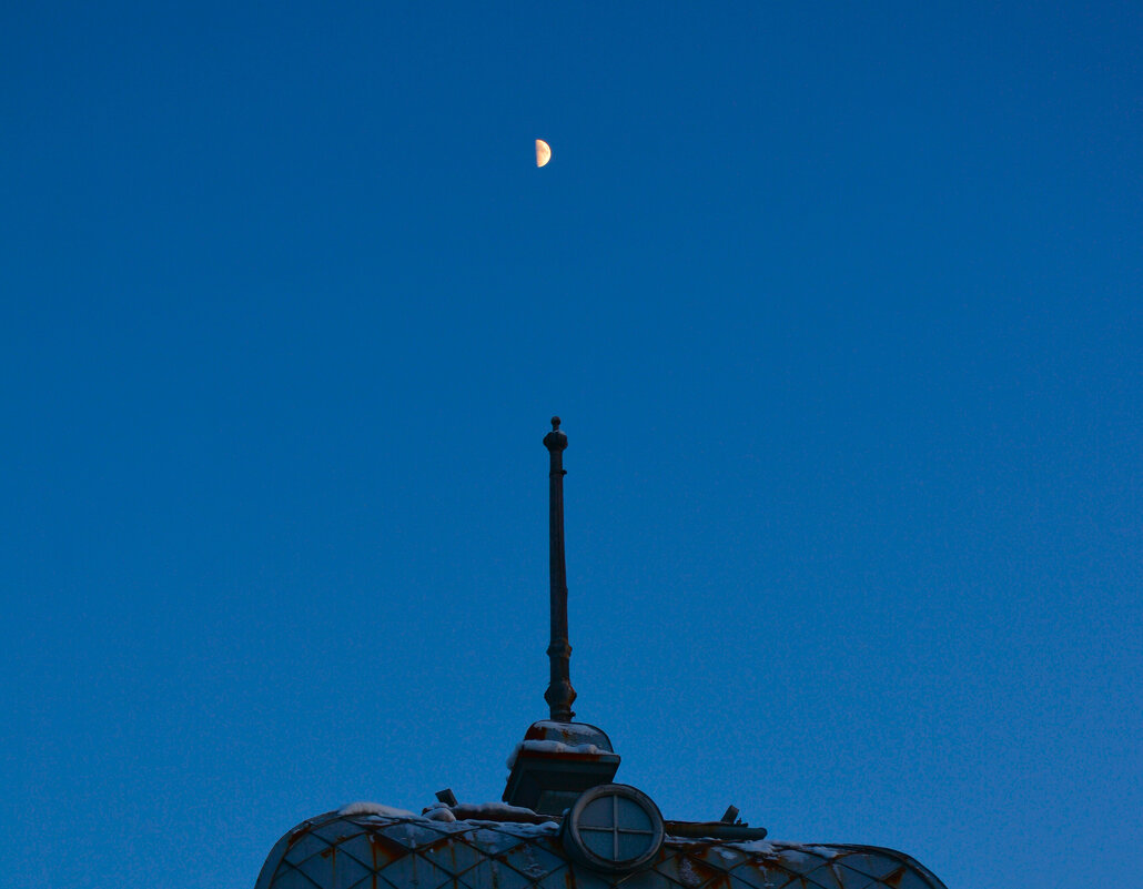 * - Наталья Покацкая