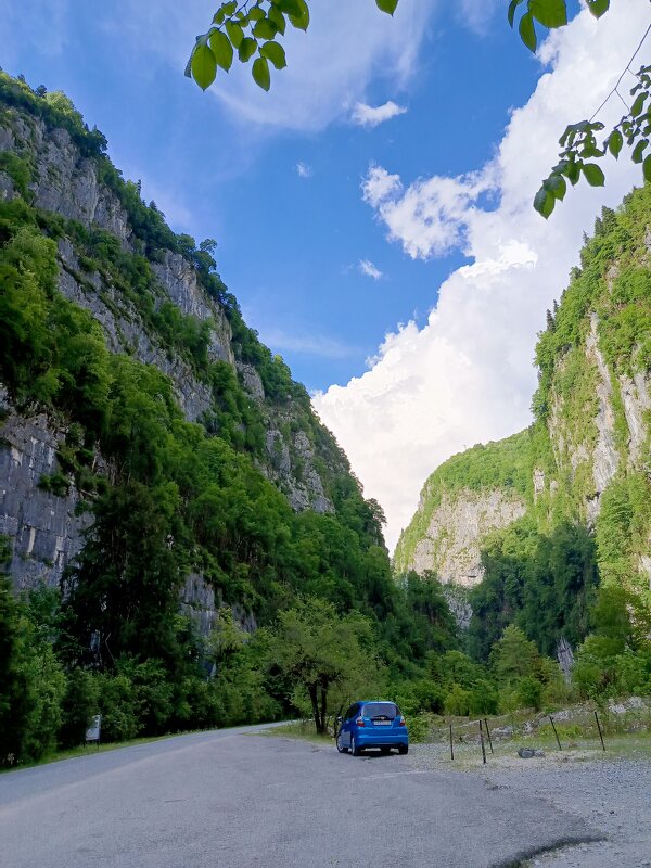 В горах Абхазии - Татьяна Пальчикова В горах Абхазии - Татьяна Пальчикова