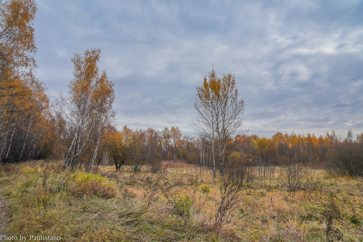 Палитра октября... - Владимир Жданов Палитра октября... - Владимир Жданов