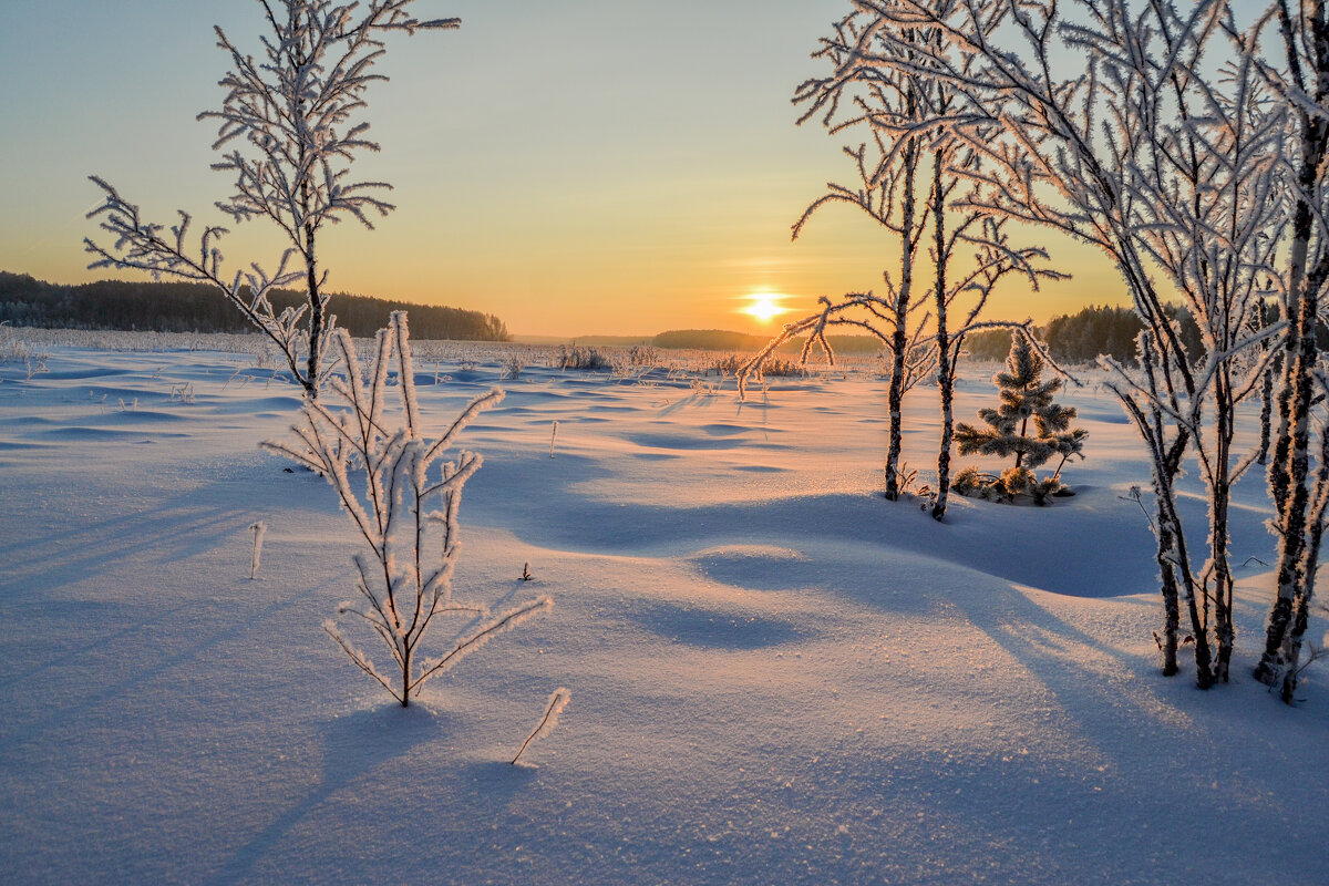 морозное безмолвие - сергей морозное безмолвие - сергей