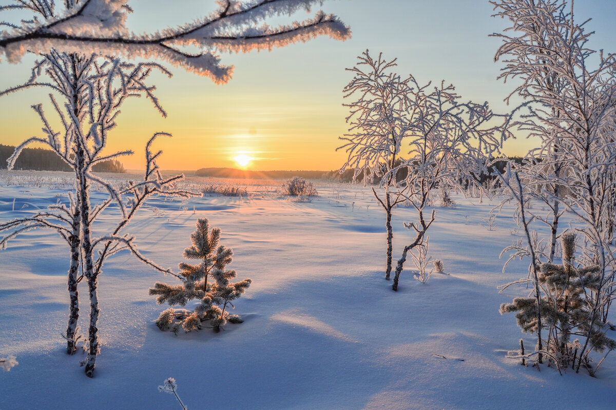 зимний иней - сергей зимний иней - сергей