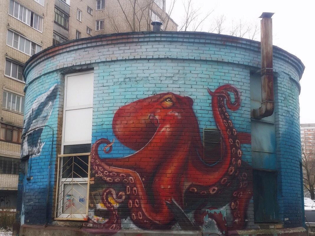 осьминог - Наталия Кольцова