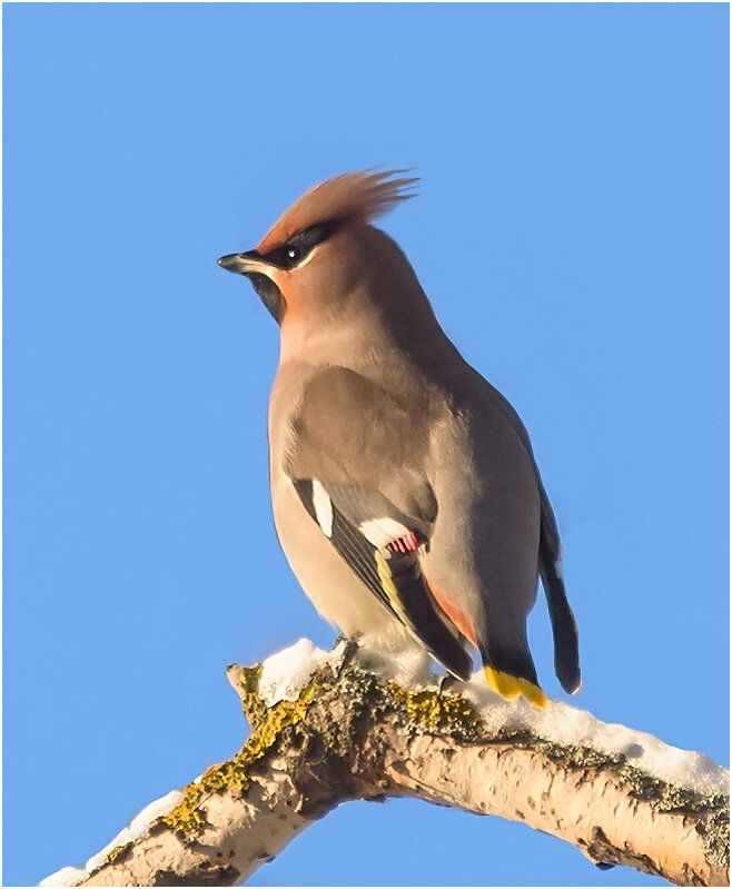 Смотрящий - Валентин Котляров