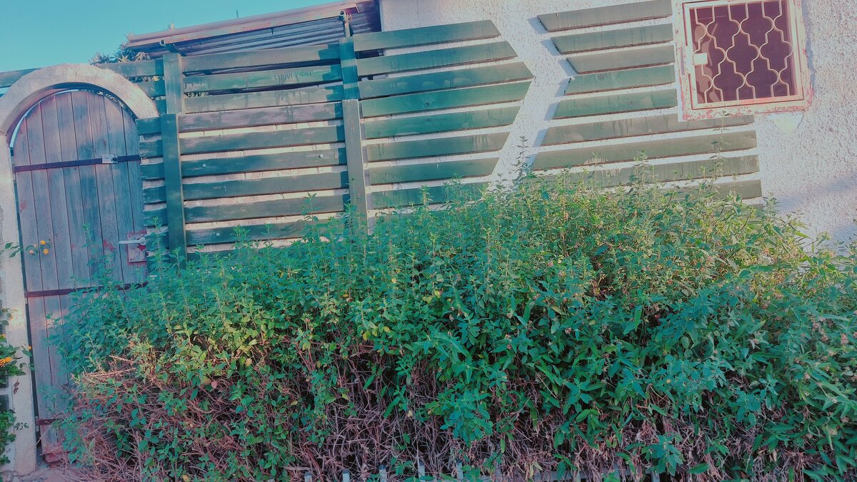 12 КЛОС (501) - CLOSE WAYS ALL 12 КЛОС (501) - CLOSE WAYS ALL