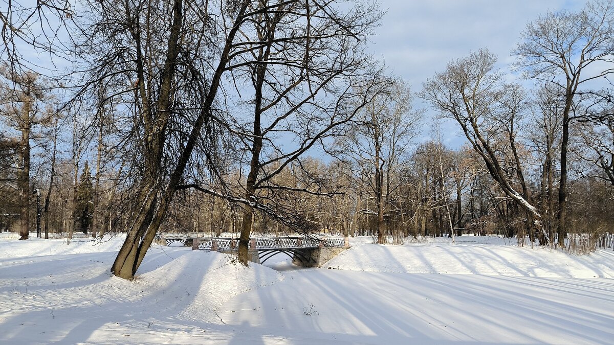 Немного солнца в февральский денек. - Ольга 