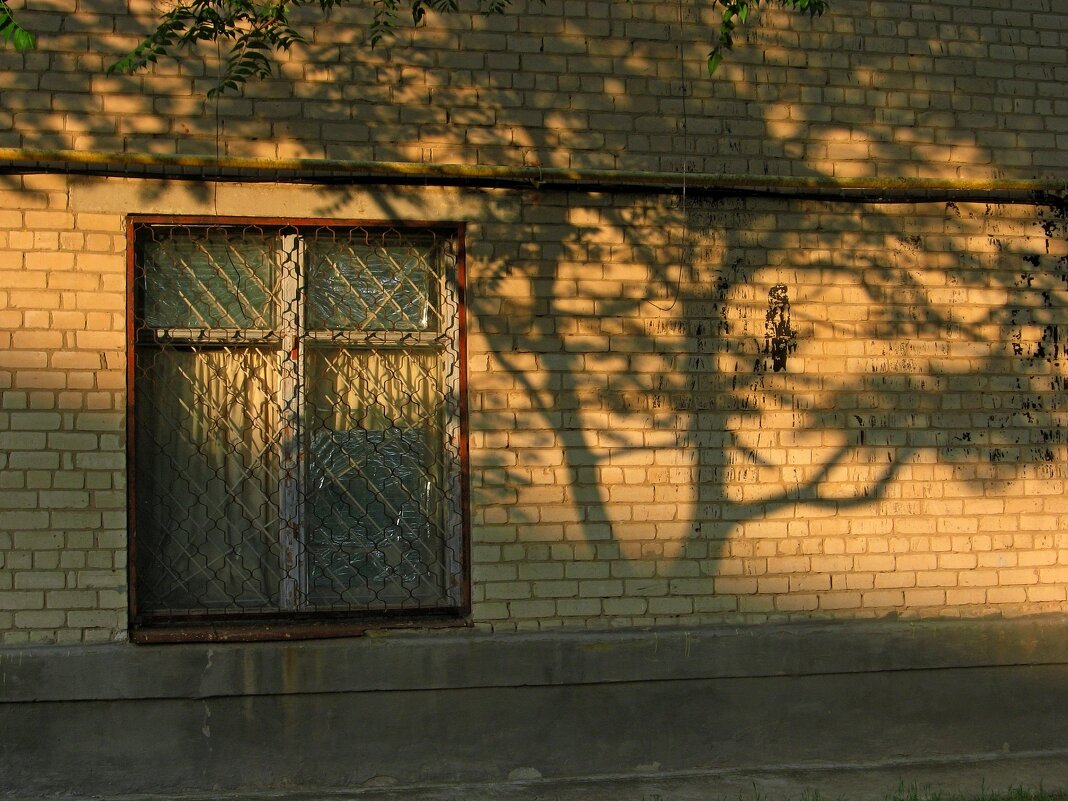 . - Александр Хоменко