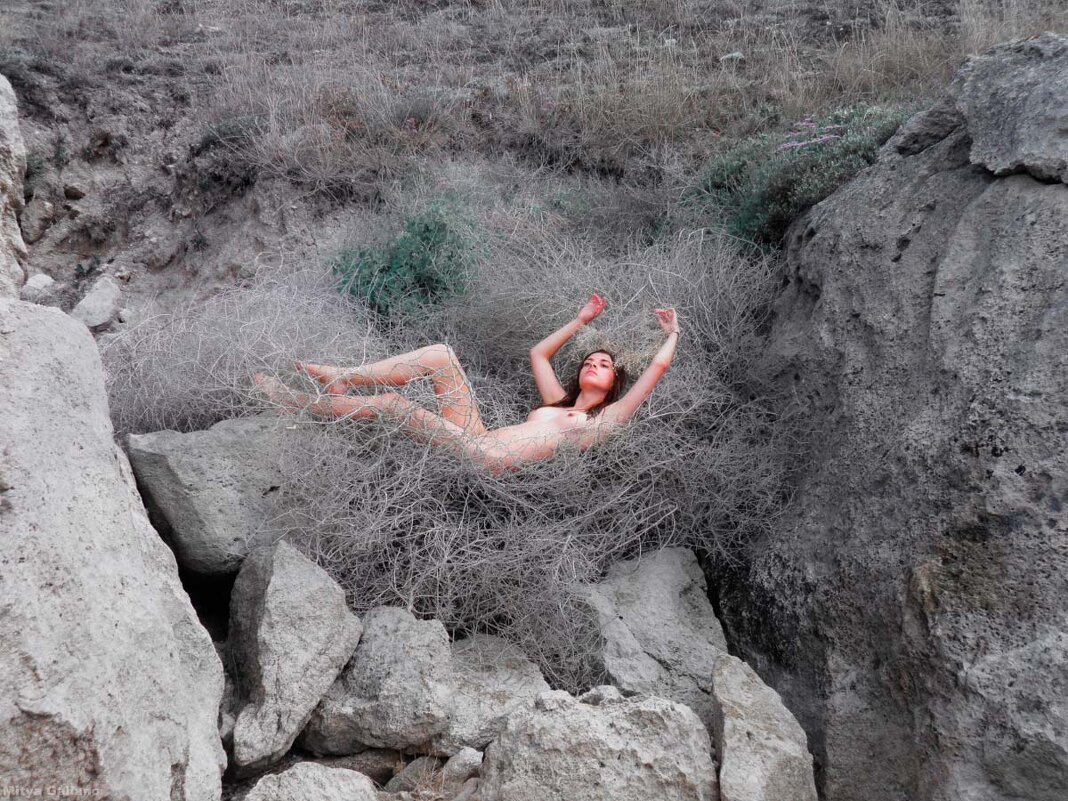 Птенчик в гнёздышке... - Mitya Galiano